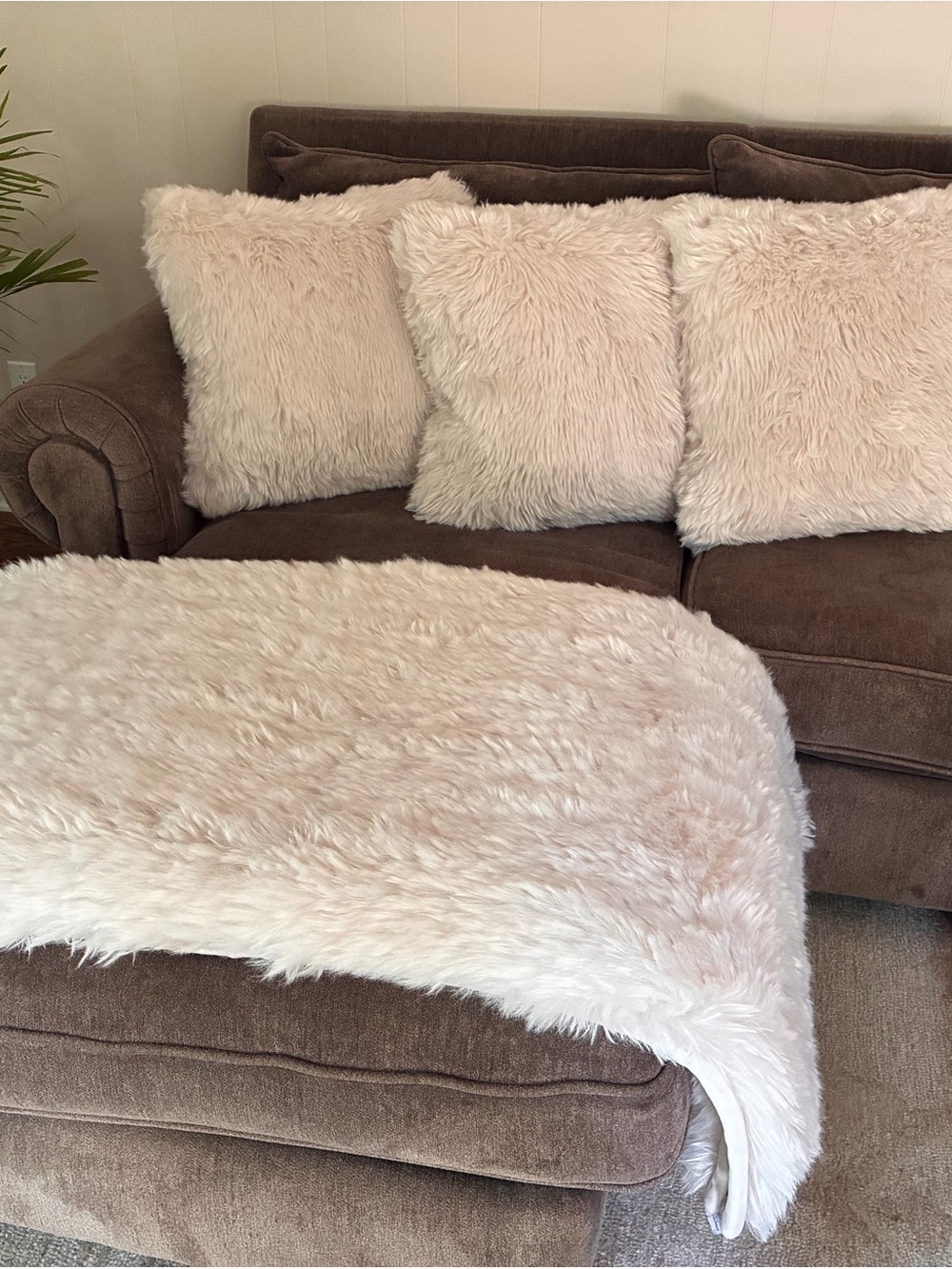 Pottery Barn Alpine Luxe Faux Fur Throw and 3 Pillow Covers